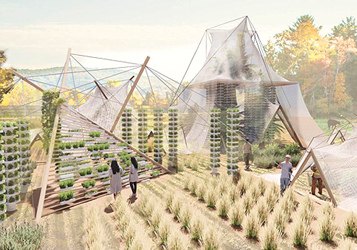 French Design Awards - Lo-fi Agritecture 