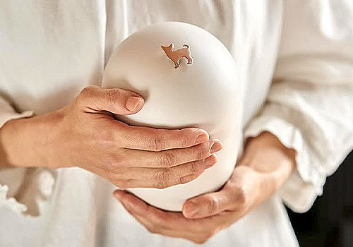 French Design Awards Winner - An Memorial Capsule by Dainichido Inc.