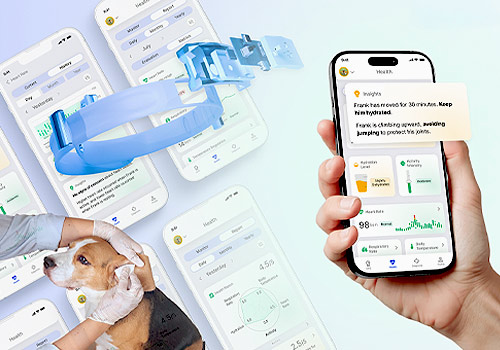 French Design Awards - CayKnight.AI: Smart Care for Dogs