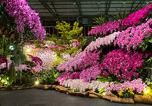 French Design Awards - 綻放臺灣Blooming Taiwan