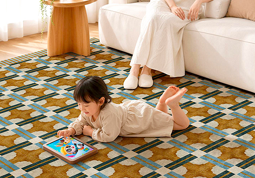 French Design Awards - Vintage Argyle Rug