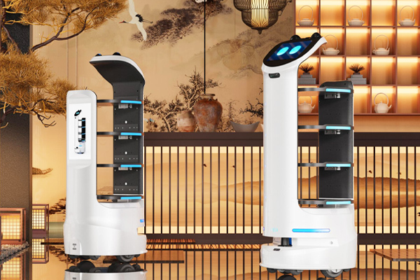 Xiongda Intelligent Delivery Robot has won Design of the Year 2025 at the French Design Awards!