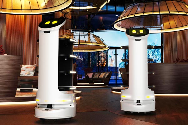 XIONGDA Smart Delivery Robot has been awarded Design of the Year 2025 at the French Design Awards!